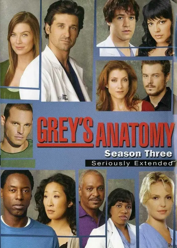Grey's Anatomy - Season Three - Disc Seven
